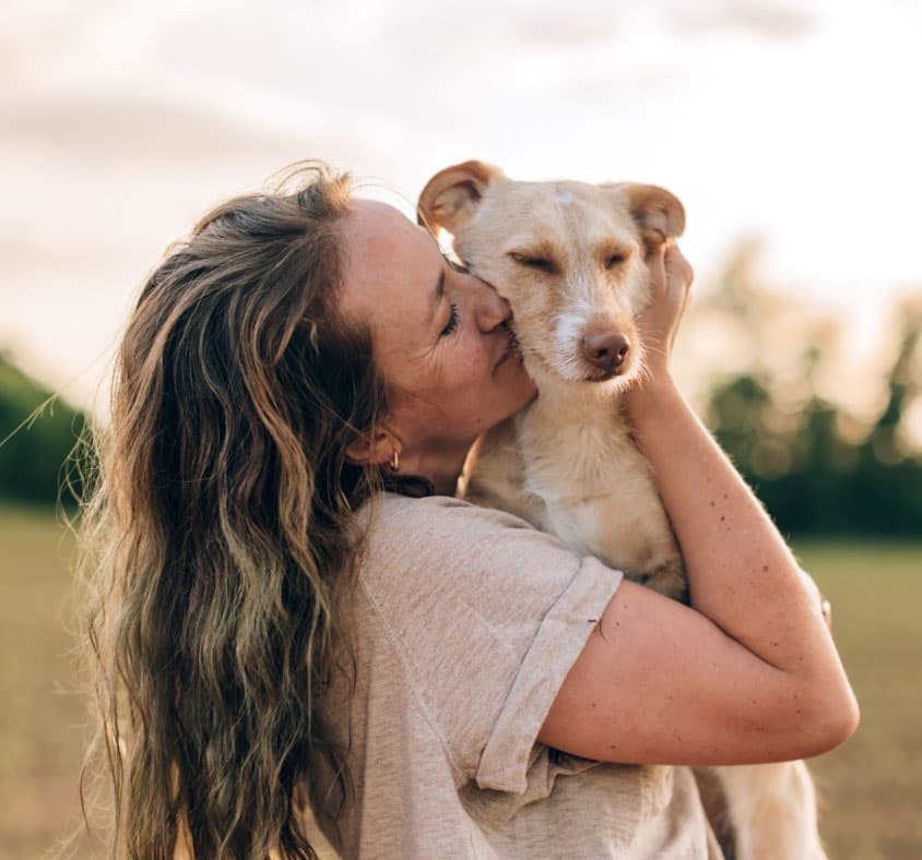 Pet Friendly